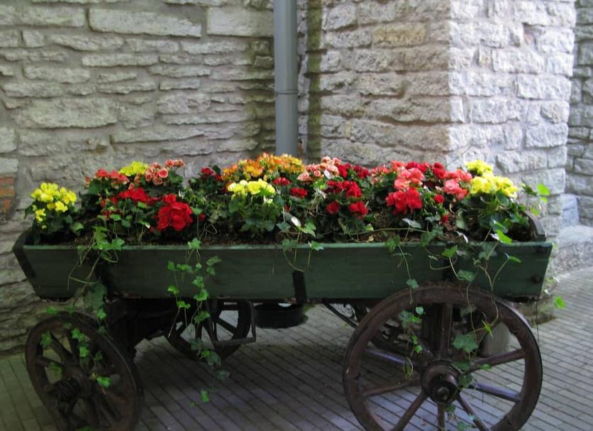 Buiten zicht Foto's