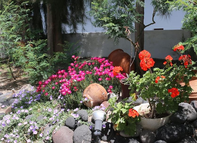 Buiten zicht Foto's