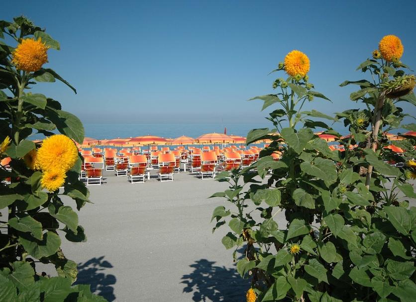 Strand Foto's
