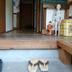 Andere