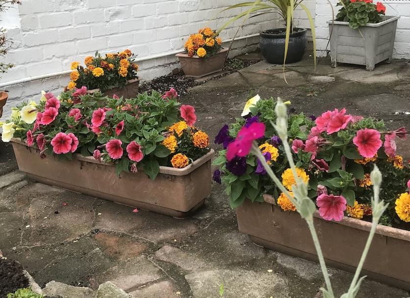 Buiten zicht Foto's