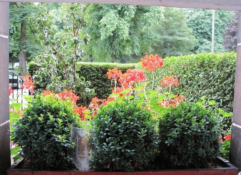 Buiten zicht Foto's