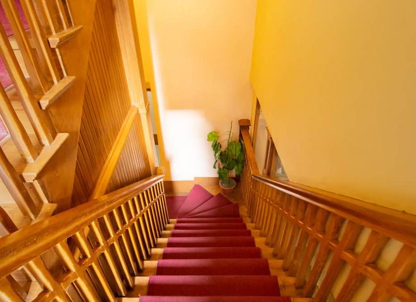 Trappen Foto's