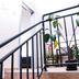 Trappen