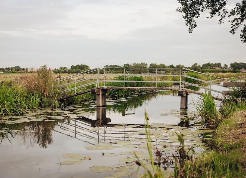 Buiten zicht Foto's