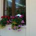 Andere