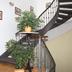 Trappen