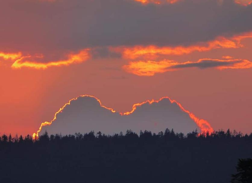 Buiten zicht Foto's