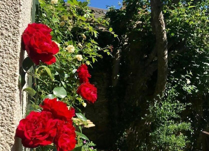Buiten zicht Foto's