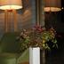 Andere