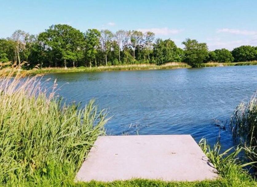 Buiten zicht Foto's