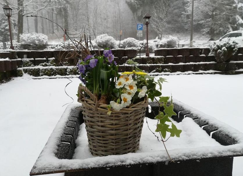 Buiten zicht Foto's
