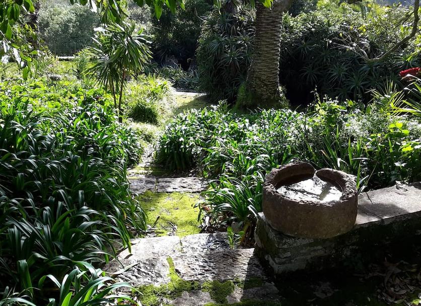 Buiten zicht Foto's