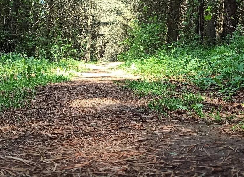 Buiten zicht Foto's
