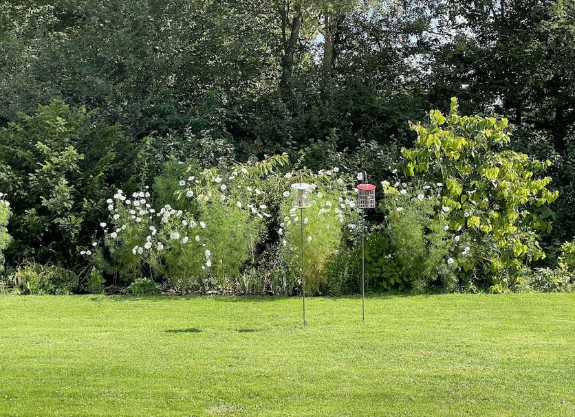 Buiten zicht Foto's