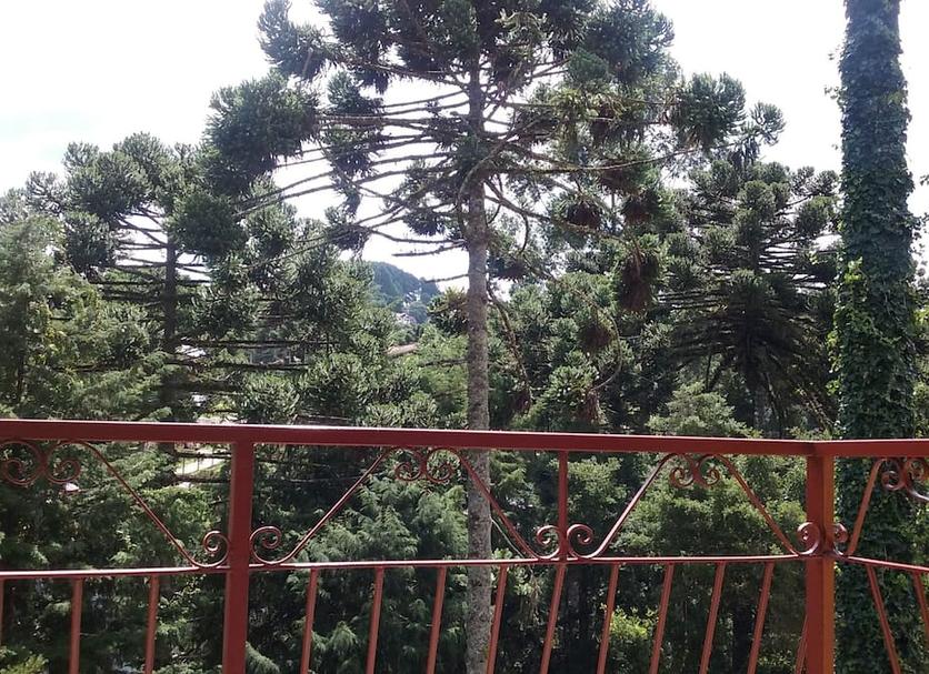 Balkon Foto's