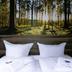 Andere