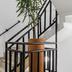 Trappen