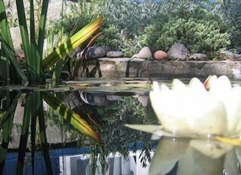 Buiten zicht Foto's