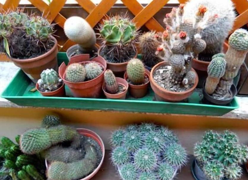 Andere Foto's