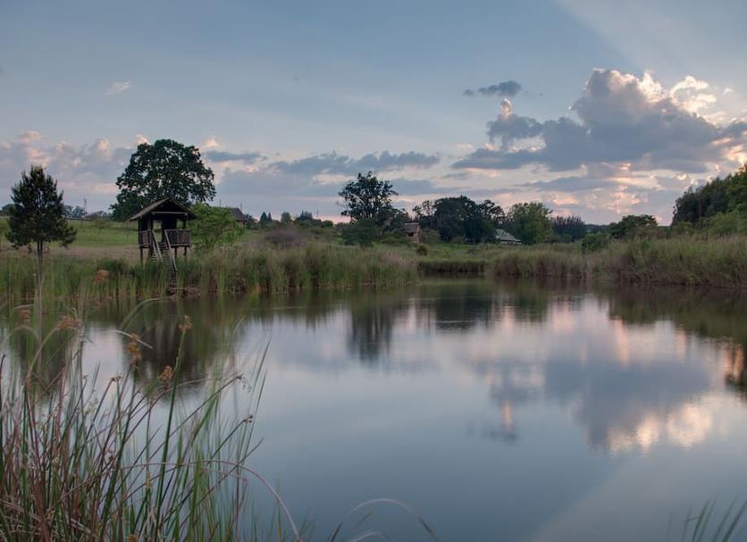 Buiten zicht Foto's