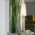 Andere