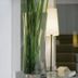 Andere