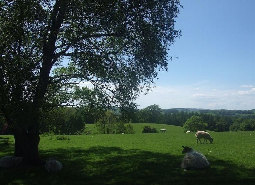 Buiten zicht Foto's