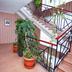 Trappen
