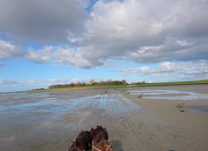 Strand Foto's