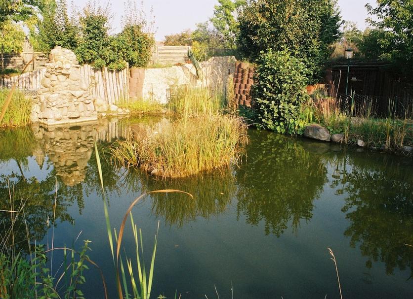 Buiten zicht Foto's