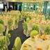 Feestzaal