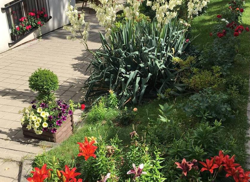 Buiten zicht Foto's
