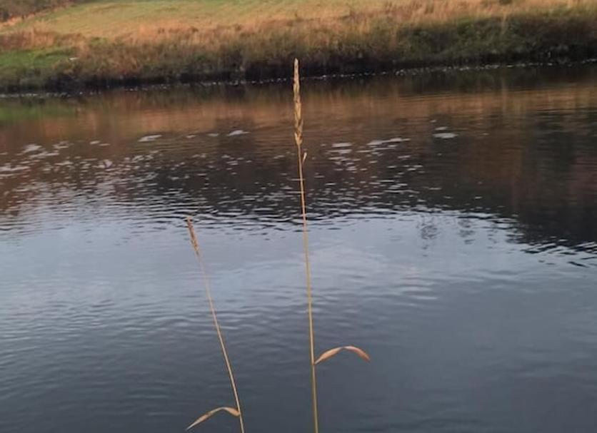 Buiten zicht Foto's