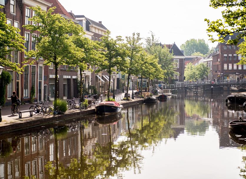 Buiten zicht Foto's