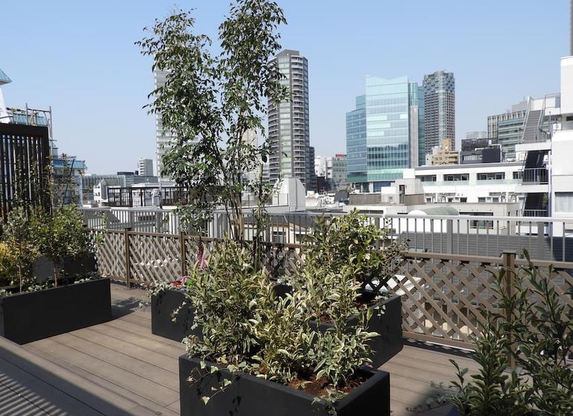 Balkon Foto's