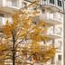 Gebouw