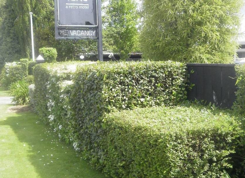 Buiten zicht Foto's