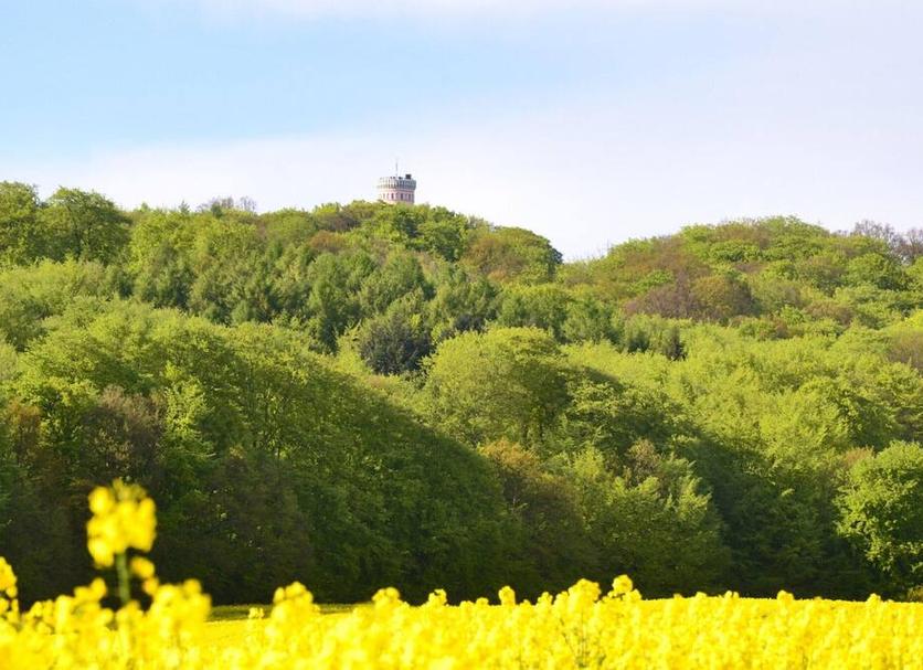Buiten zicht Foto's