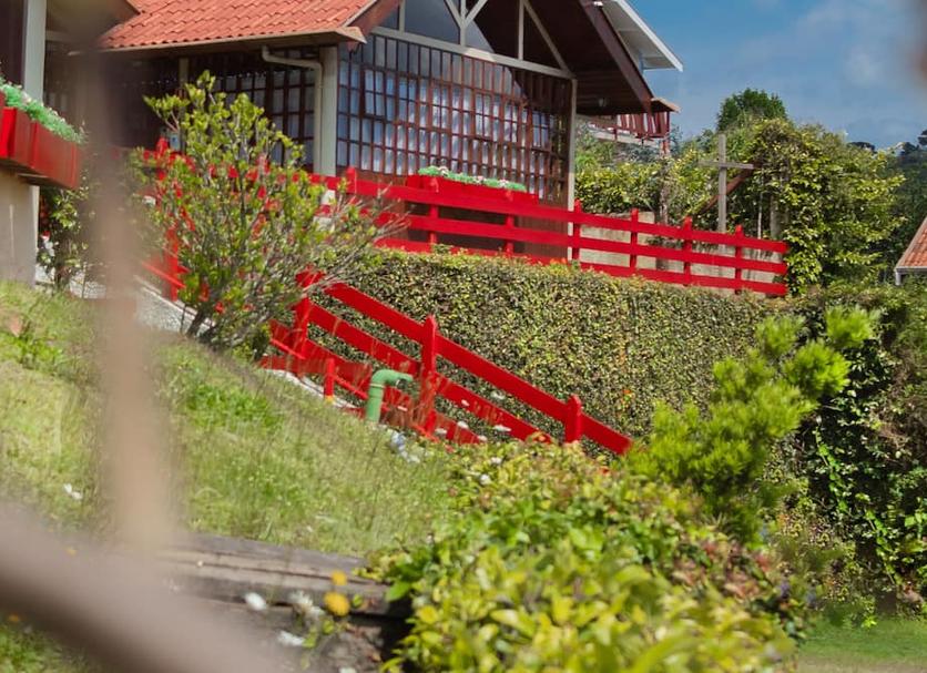 Buiten zicht Foto's