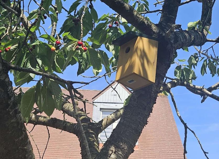 Buiten zicht Foto's