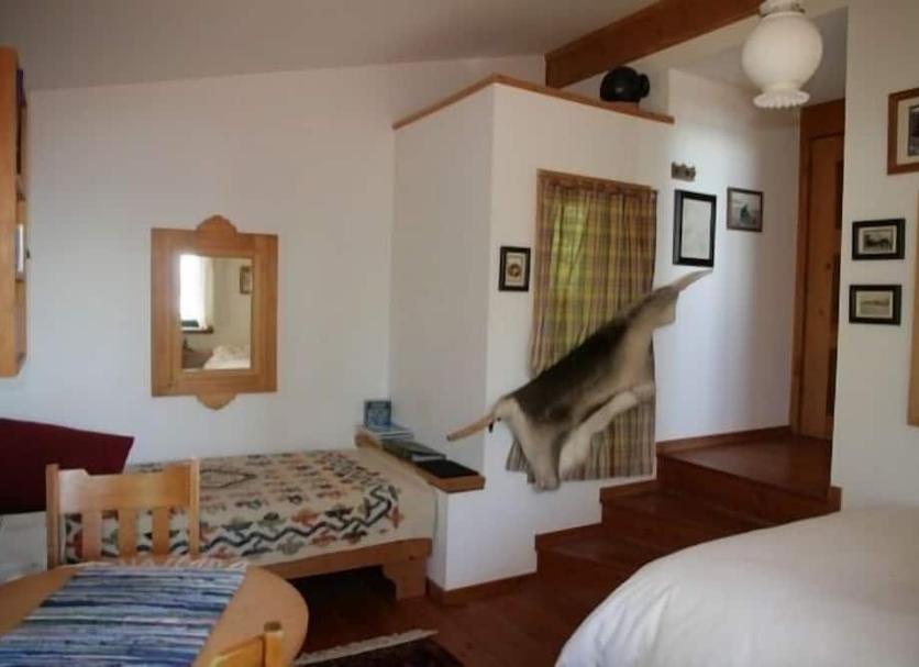 Slaapkamer Foto's