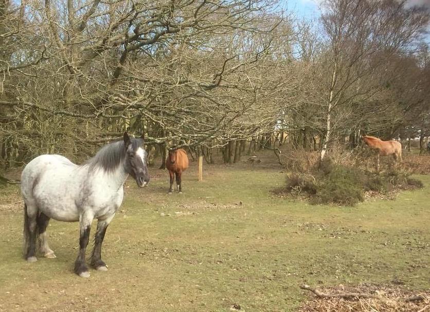 Andere Foto's