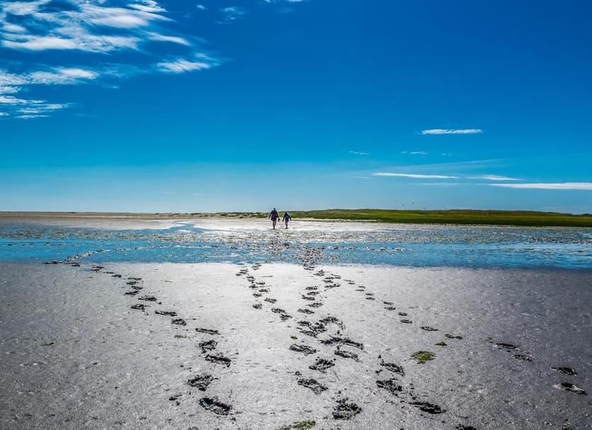 Strand Foto's