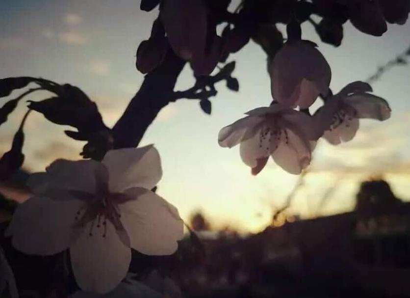 Andere Foto's