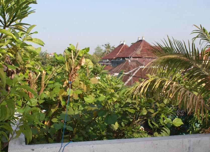 Buiten zicht Foto's