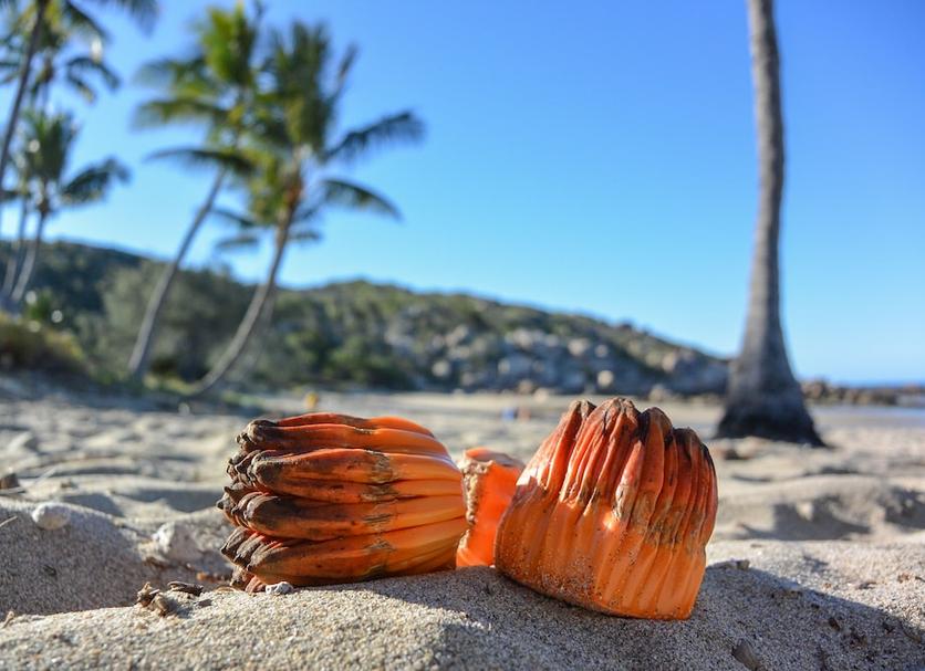 Strand Foto's