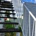 Trappen