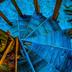 Trappen