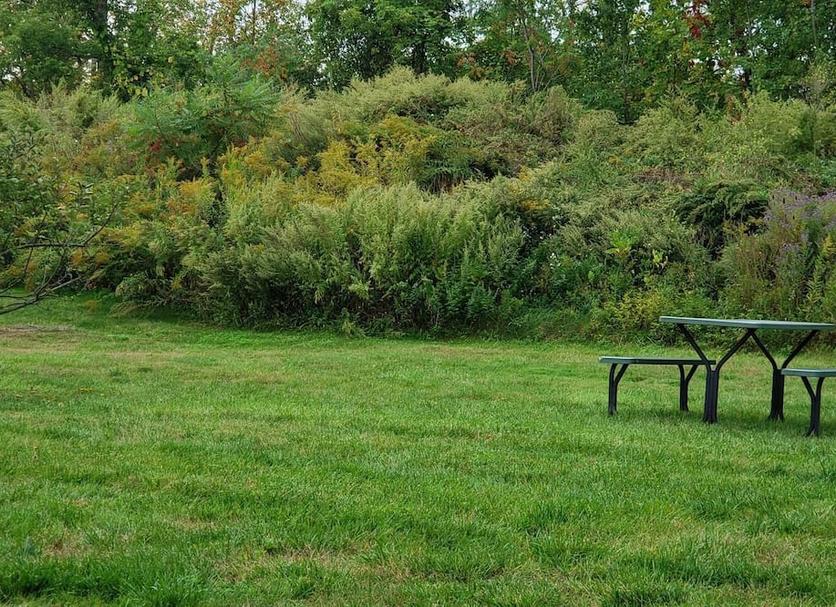 Buiten zicht Foto's